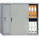 Антресоль ПРАКТИК AMT 0891