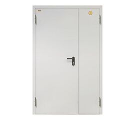 Дверь ДП-2-60-2050/1350/L