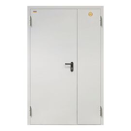 Дверь ДП-2-60-2050/1250/L