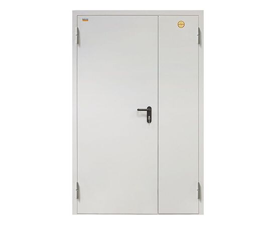 Дверь ДП-2-60-2050/1250/L